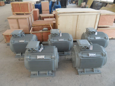 30kw hydropower Permanent magnet generator